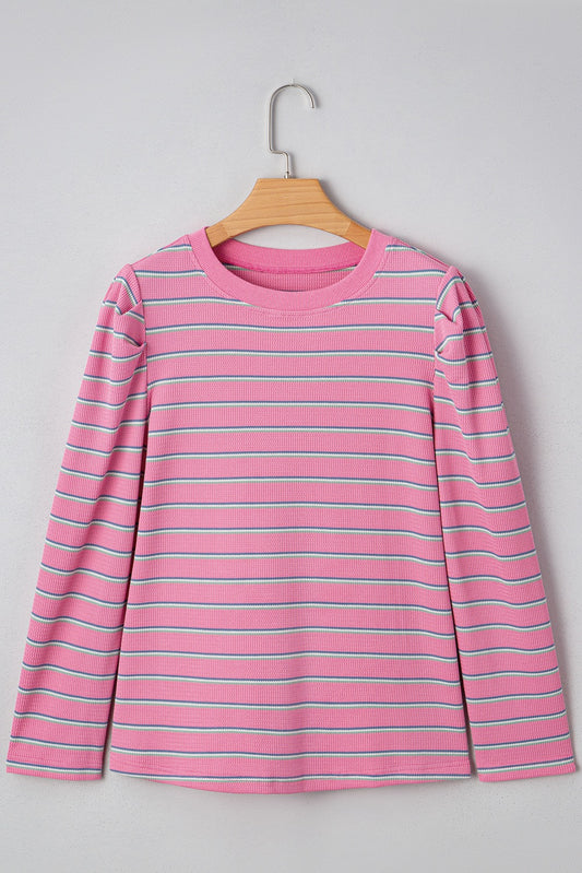 Rose Stripe Textured Knit Round Neck Top