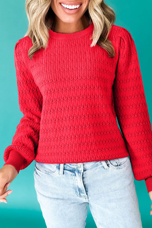 Red Trendy Pattern Knit Ribbed Cuff Crew Neck Sweater
